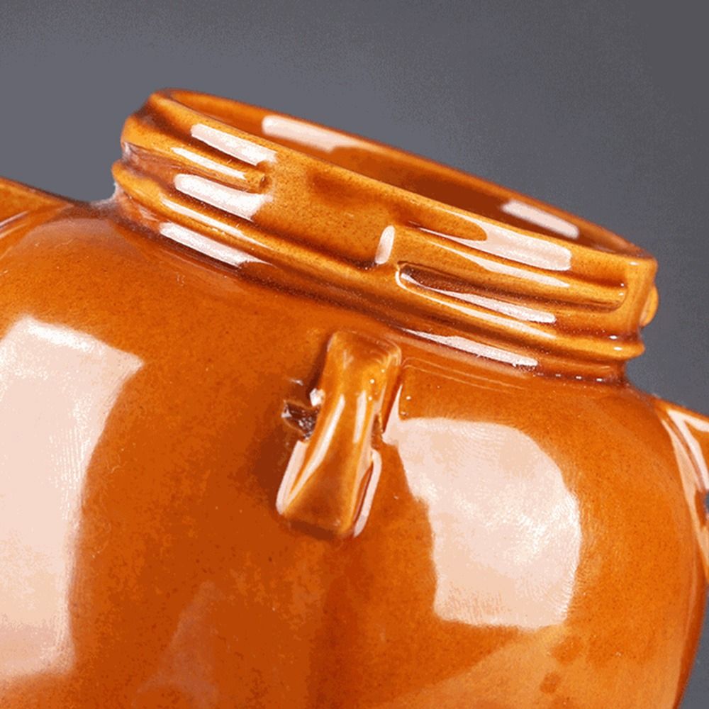 Barattolo in Ceramica per Sott - Fermentation Crock recensione e prezzo