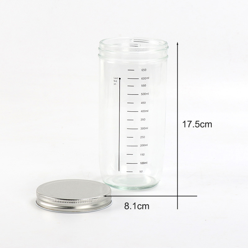 Kit Barattoli per Conservazion - Fermentation Crock recensione e prezzo