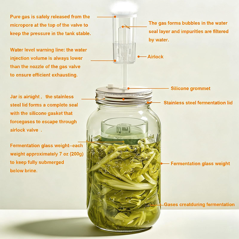 Kit di Fermentazione, Barattol - Fermentation Crock recensione e prezzo