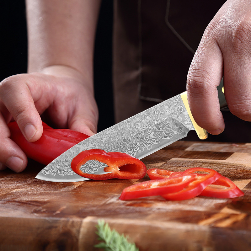 Coltello da Cucina Premium VG1 - Home Cooking Japanese Food recensione e prezzo
